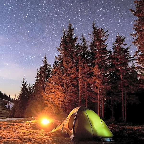 Anchorage Officials Report Success in Criminalized Camping Law One Year After Implementation