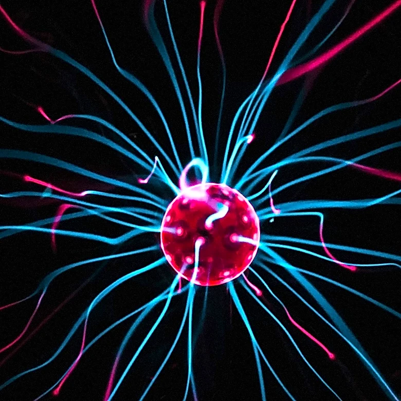 Brain Scans Reveal Political Divides in Sensory Processing