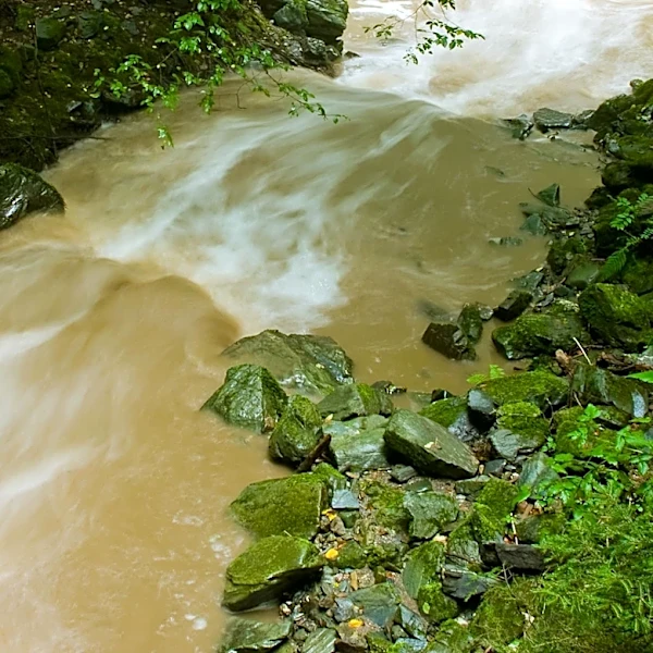 Hamilton County Issues Warning for Whitewater and Great Miami Rivers Due to Raw Sewage Discharge from Indiana