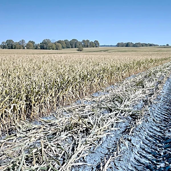 Lebanon County Police Identify Suspect in Cornfield Vandalism Case