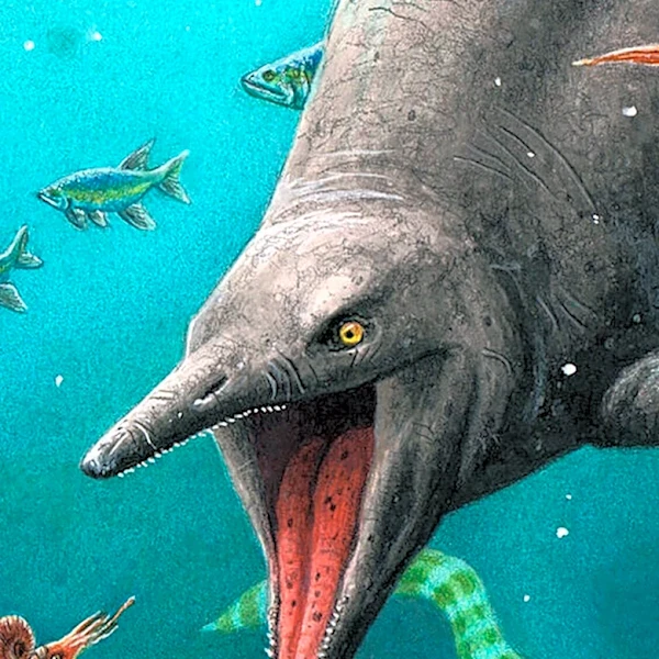 Giant Crocodilian Dominated Miocene South American Ecosystem, Challenging Mammal-Centric View