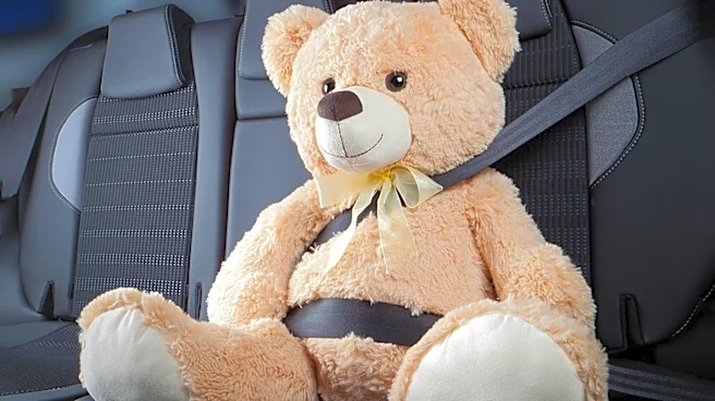 Representative Mike Flood Introduces Legislation to Standardize Vehicle Safety Across States