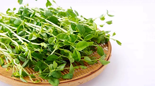 Wisconsin Department of Health Services Links 17 Illnesses to Alfalfa Sprout Outbreak