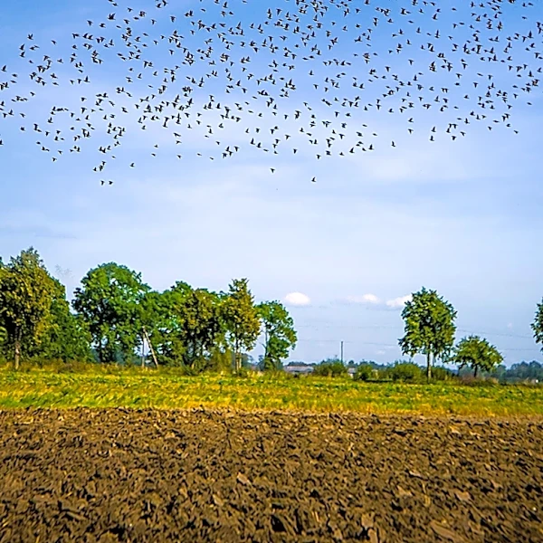 Hopkinton, Massachusetts, Terminates 'Unlawful' Flock Safety Contract Following Legal Review