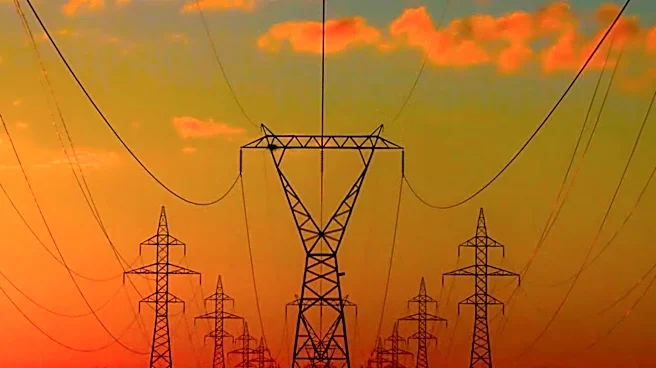 Former FERC Chair Warns of 18-Month U.S. Power Grid Blackout Risk
