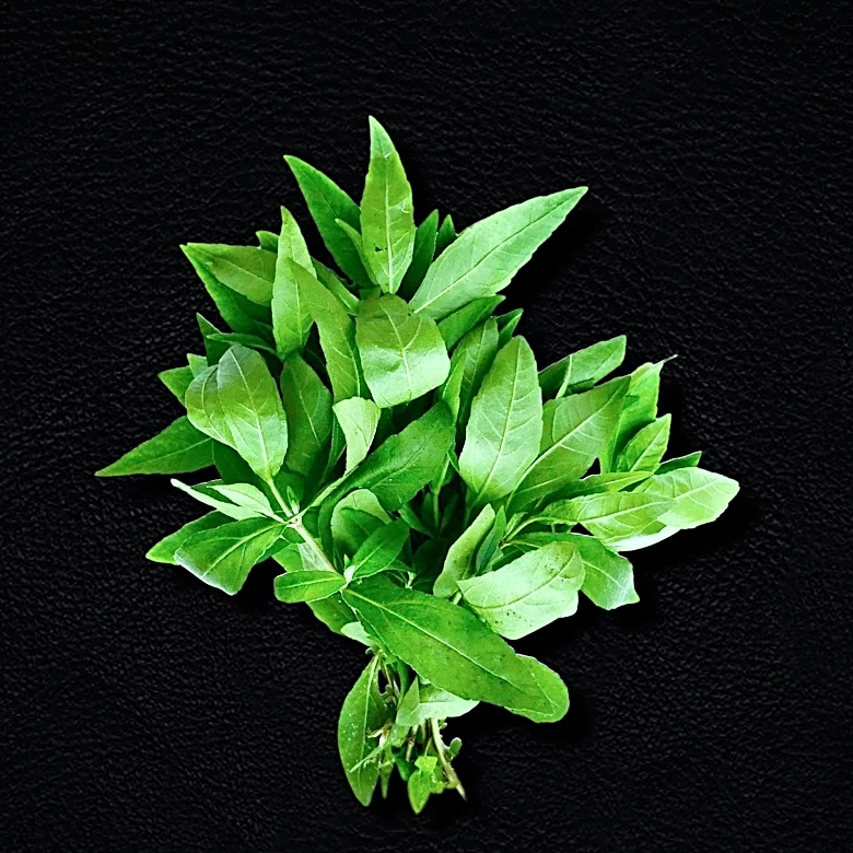 New York Man Arrested After Large Khat Seizure at Dulles International Airport