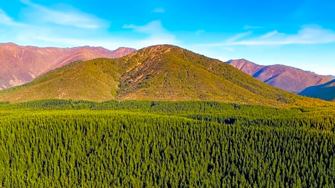 Trump Administration Moves to Repeal Roadless Rule, Opening National Forests to Development