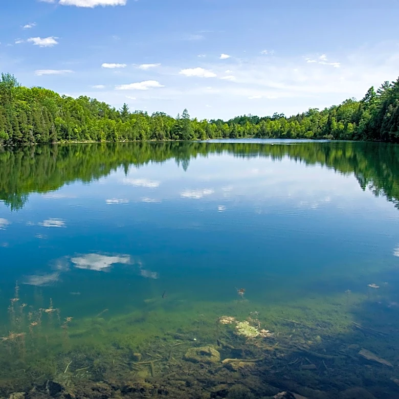 Michigan's Smallwood Lake Begins Refill Six Years After Dam Disaster, $50.2 Million Rebuild Completed