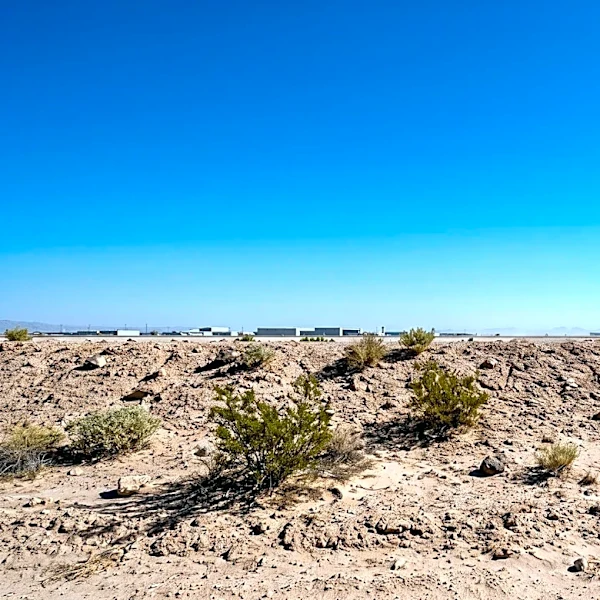 New York Grandmother Alisa Goods Found Deceased Near Las Vegas Airport After Disappearance
