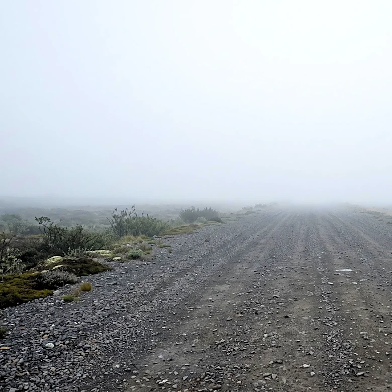 Charter Plane Crash in Alaska Kills Eight Near US Military Airstrip Amid Heavy Fog