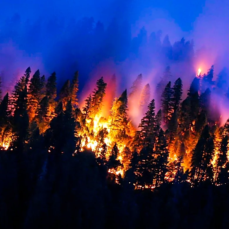 Harley Fire Near Garland, Utah, Prompts Evacuations and I-15 Closure