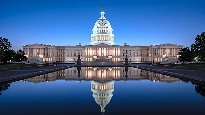 US Senator Elissa Slotkin Condemns Israeli Minister Ben-Gvir's 'Dehumanizing' Remarks, Calls for Ouster