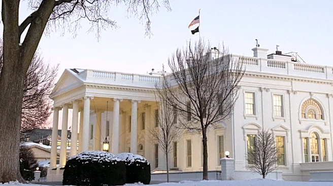Natalie Harp's Relationship with President Trump Draws Scrutiny and White House Backlash