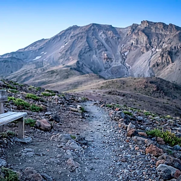 Japanese Father Reprimanded for Leaving 7-Year-Old Son Alone on Mount Fuji During Hike