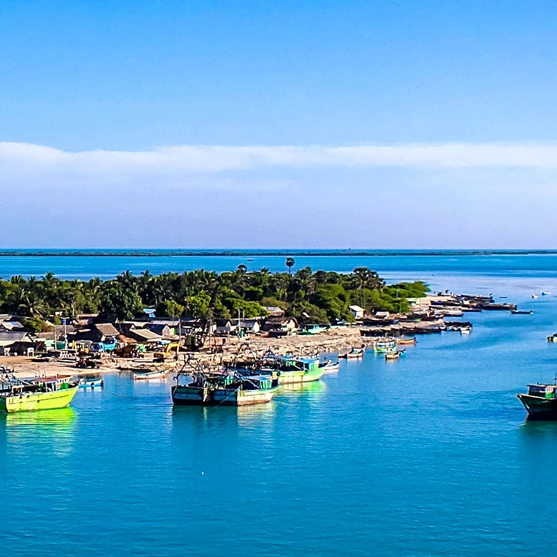U.S. Treasury Sanctions Ecuadorian Fishing Fleet for Cocaine Smuggling to Mexico, Destined for U.S.
