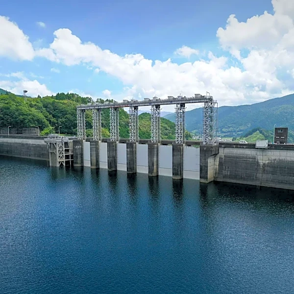 Egyptian Prime Minister Inaugurates Julius Nyerere Dam in Tanzania, Highlighting African Cooperation