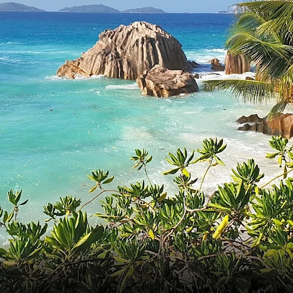 Seychelles and Kenya Airways Partner to Attract North American Tourists with Safari and Beach Packages