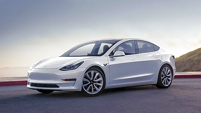 Portland Police Arrest Three, Seize Five Guns After Tesla Crash and Hours-Long Search