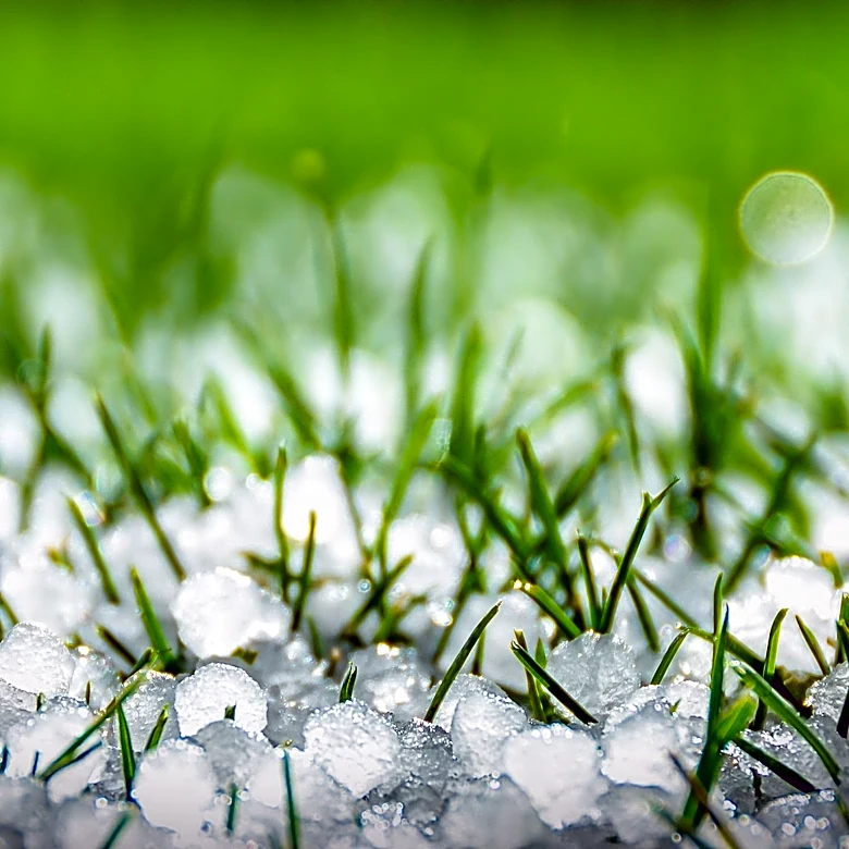 State Farm Accused of Systematically Underpaying Oklahoma Hail Claims, Internal Documents Reveal