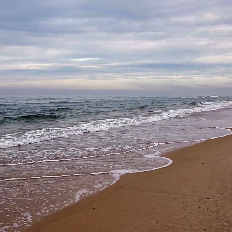 Georgia Teacher Dies Saving 10-Year-Old Girl from Rip Current in Myrtle Beach