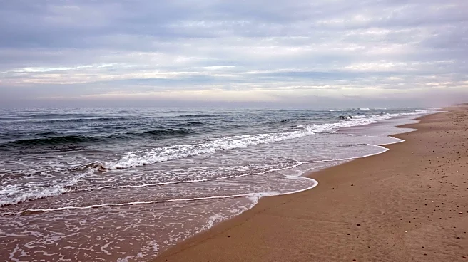 Georgia Teacher Dies Saving 10-Year-Old Girl from Rip Current in Myrtle Beach