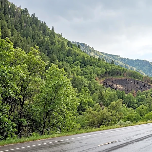 Blind Hollow Fire Closes Highway 89 in Logan Canyon Amid Thunderstorm and Power Outages