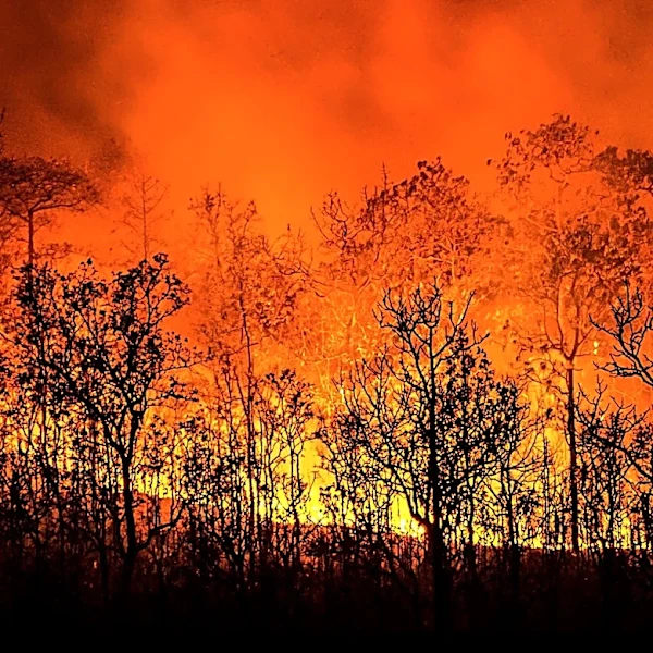 Colorado Governor Jared Polis Requests Federal Disaster Declaration Following Wildfires