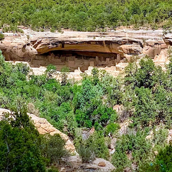 Mesa Verde National Park and Organ Pipe Cactus National Monument Highlighted as Worthwhile Detour Destinations in U.S. Southwest