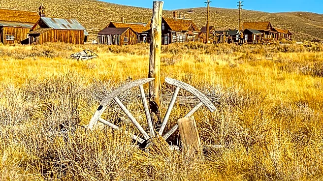 Quantrill's Raiders Exploited Lawlessness in Montana Gold Rush Era