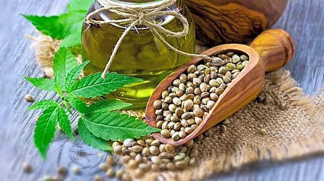 Senator Rand Paul Supports Regulation Over Ban for Intoxicating Hemp Products