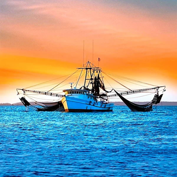 NOAA Fisheries Proposes 10-Year Extension for Gulf of Mexico Shrimp Permit Moratorium