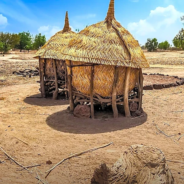 UN Recognizes Sahel Restoration Initiative for Boosting Food Security and Livelihoods