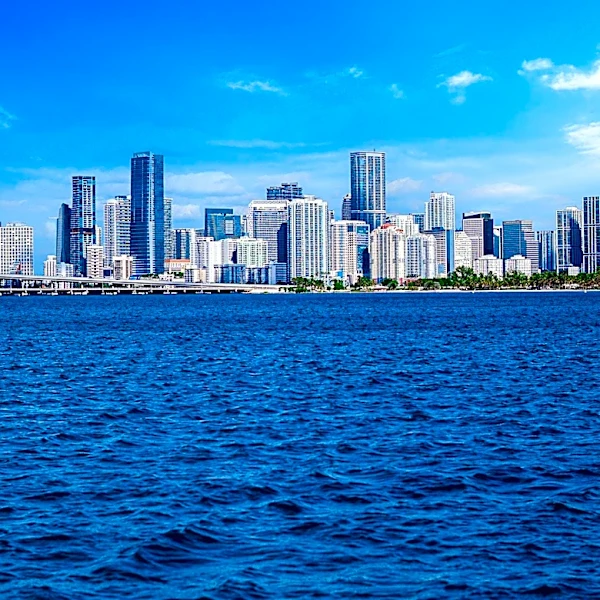University of Miami Researchers Investigate Immune System's Role in ALS Progression
