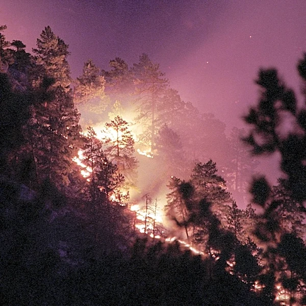Wildfires Force Shark Valley Closure in Everglades National Park