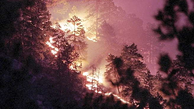 Wildfires Force Shark Valley Closure in Everglades National Park