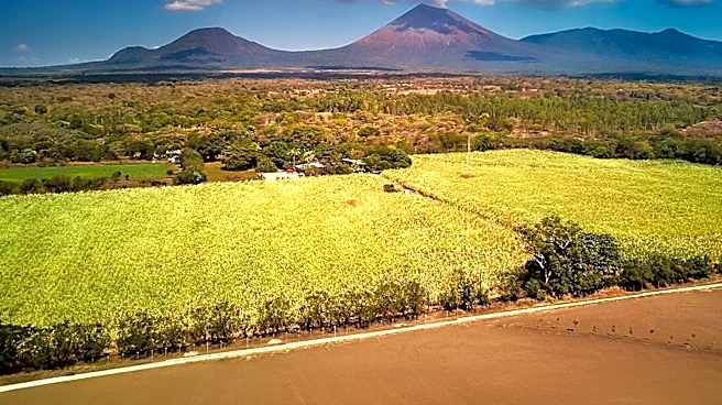 El Salvador Declares Red Alert Due to Severe Drought and Crop Losses Amidst El Niño Intensification