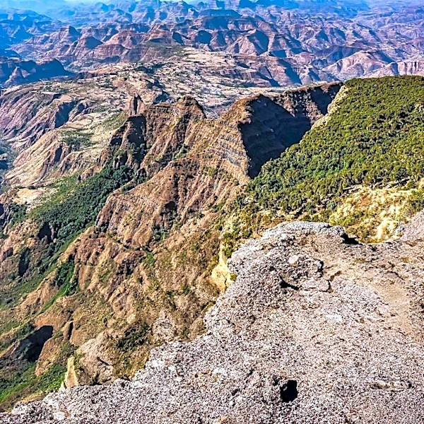 Eritrea Rejects Ethiopian Claims to Red Sea Access Amidst Rising Regional Tensions