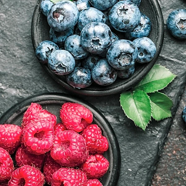 Flavonoid-Rich Diets Linked to Lower Parkinson's Disease Risk in New Study