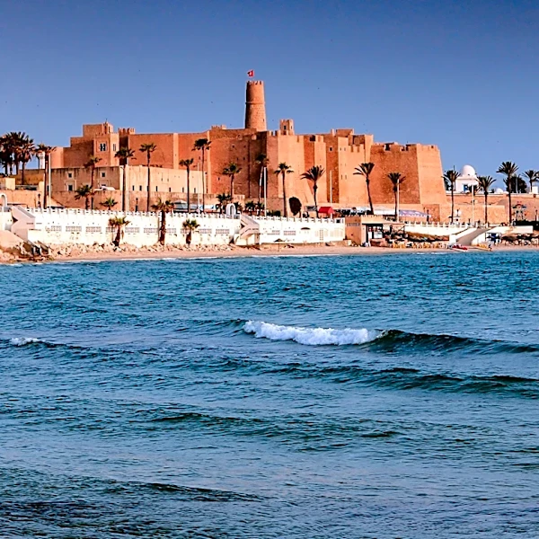 Tunisian President Kais Saied Alleges 'Deliberate Actions' Behind Widespread Water and Electricity Outages