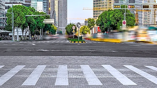 Richard Grenell Criticizes Los Angeles City Councilwoman Nithya Raman's Crosswalk Project