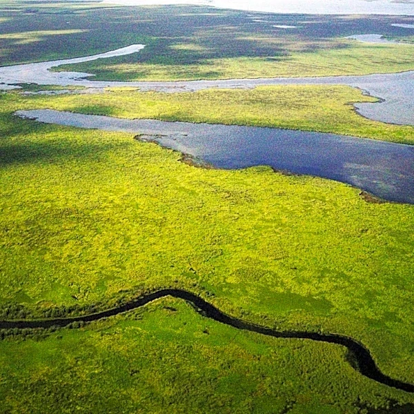 ConocoPhillips and Ducks Unlimited Partner for Louisiana Coastal Wetland Restoration in 2026