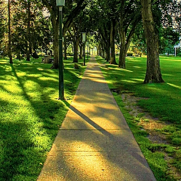 Roswell City Council Approves Trail Lighting and Arts Improvements Funding