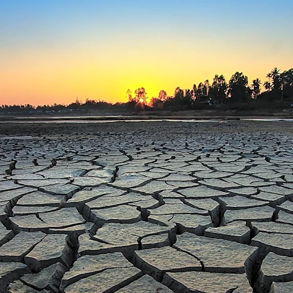 Drought Exposure During Pregnancy Linked to Increased Preterm Birth Risk