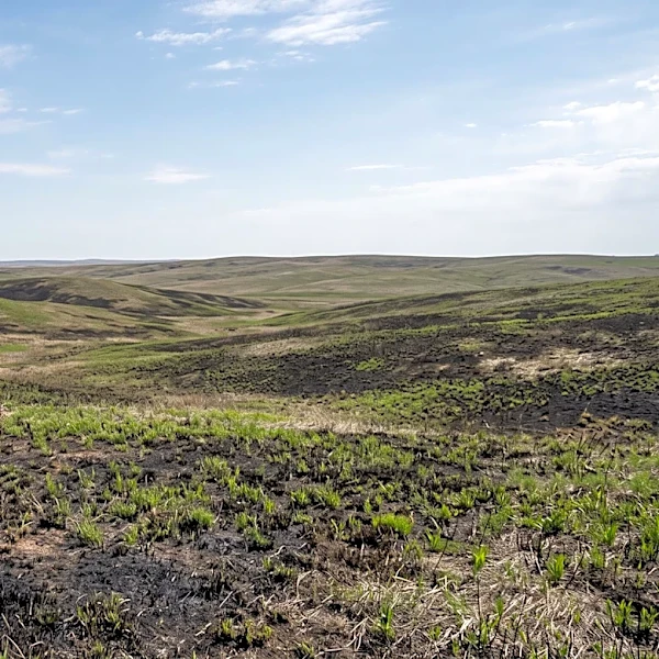 IRS Delays Tax Deadlines for 22 Nebraska Counties Affected by Wildfires and Storms