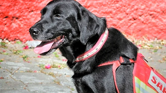Smithfield Firefighters Rescue Unconscious Dog from Residential Blaze