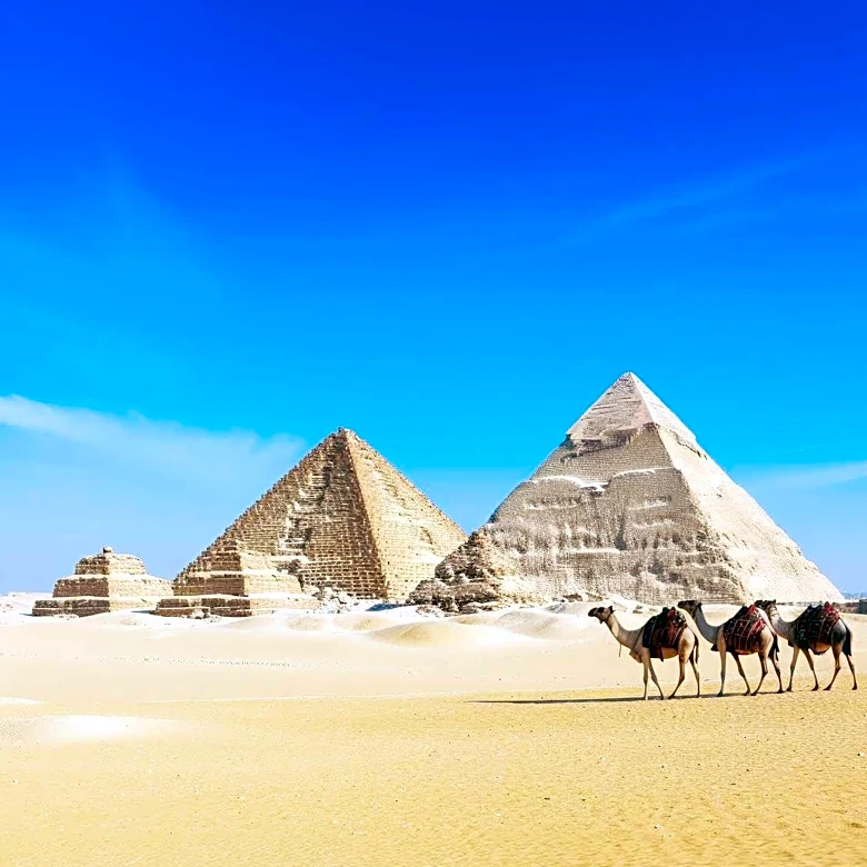 President Xi Jinping to Attend SCO Summit and Conduct State Visits to Kyrgyzstan and Egypt