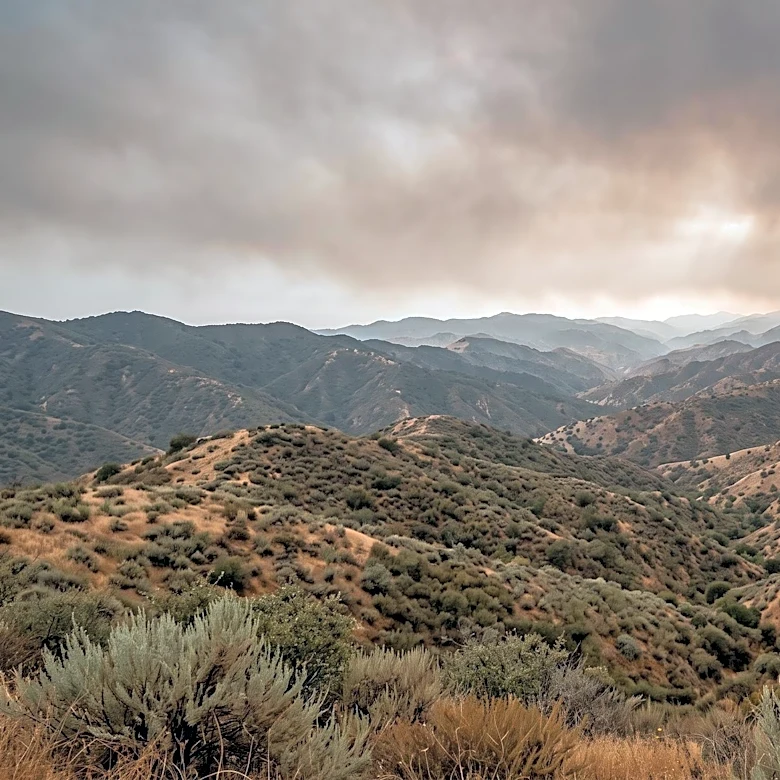 Genasys Protect Offers Critical Wildfire Safety Information for Los Angeles County Residents
