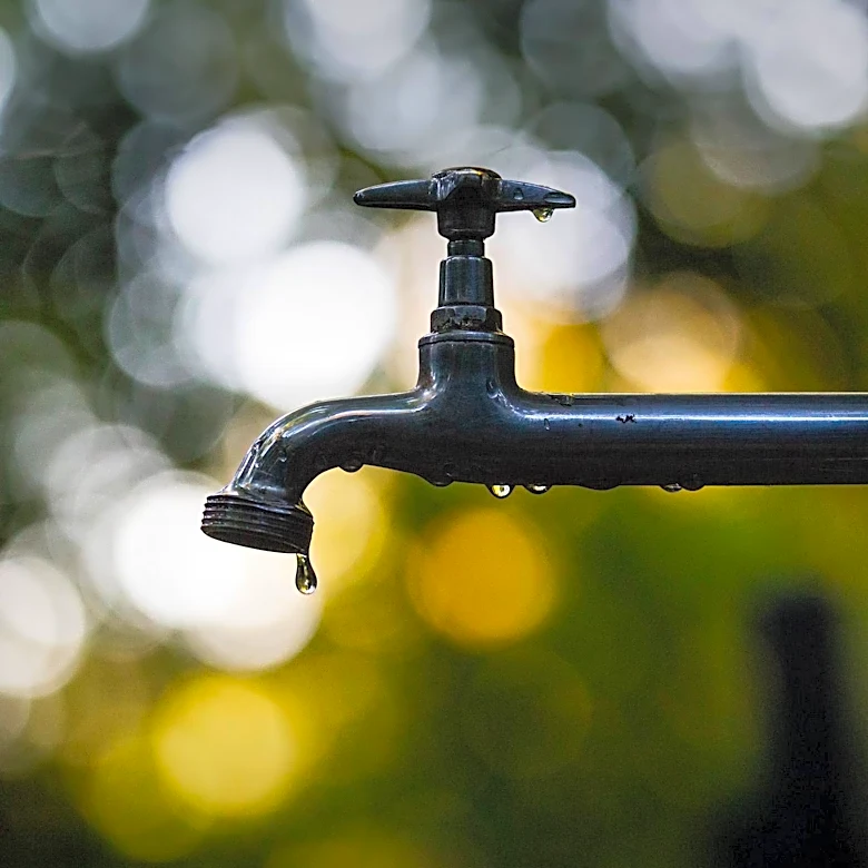 Brownsville Family Disputes $1,200 Water Bill After No Leak Found