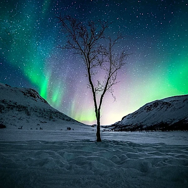 Tromsø Offers Premier Northern Lights Viewing Experiences with Professional Guidance