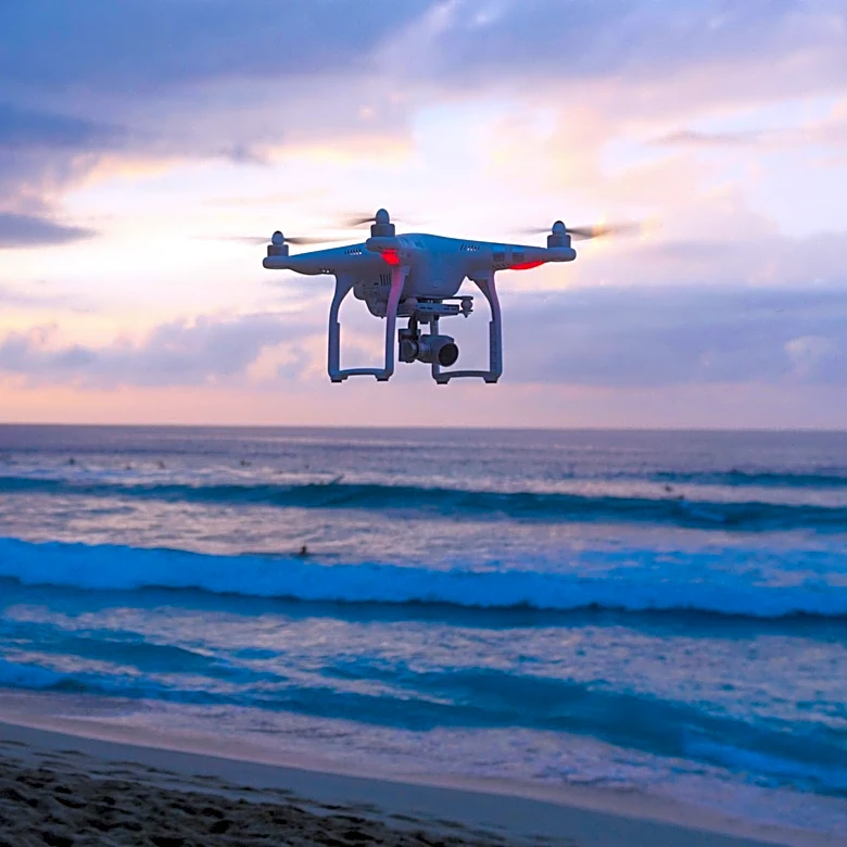 Drones Revolutionize Lost Pet Searches in Southern California